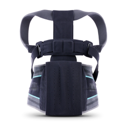 Elite TLSO - LWS/BWS Orthese