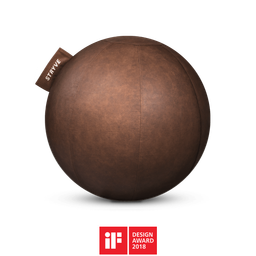 Stryve Active Gymnastikball Lederstoff