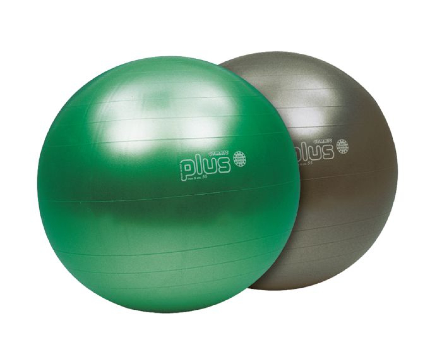 Gymnic Gymnastikball Plus